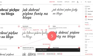 Wybór pięknych czcionek na bloga w Google Fonts. Widoczne różne style pisma, w tym odręczne.