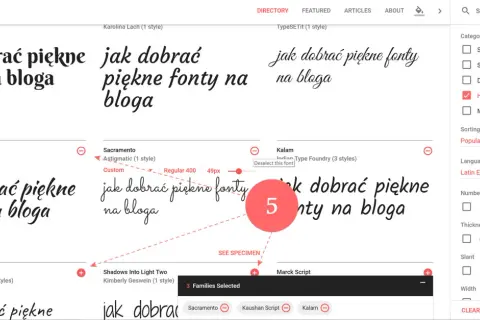 Wybór pięknych czcionek na bloga w Google Fonts. Widoczne różne style pisma, w tym odręczne.