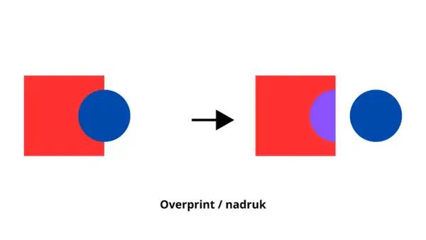 Ilustracja pokazuje efekt nadruku (overprint) w programie Illustrator: czerwony kwadrat i niebieskie koło tworzą fioletowy obszar, gdy się nakładają.